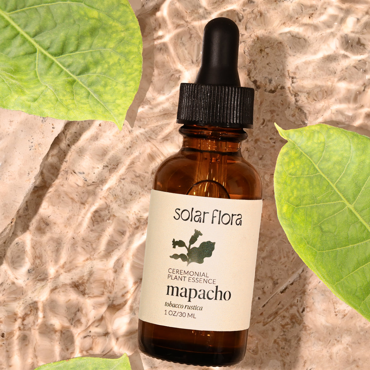 organic mapacho tobacco PURE FOR SALE A Ceremonial Vibrational Essence of Mapacho Ceremonial Plant Essence: Mapacho