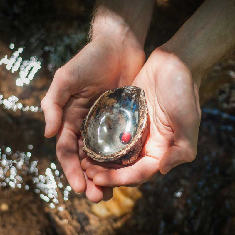 Open oyster shell with a red pearl.