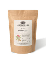 Bobinsana Bark - Botanical Ally for Dreamwork and Reflection