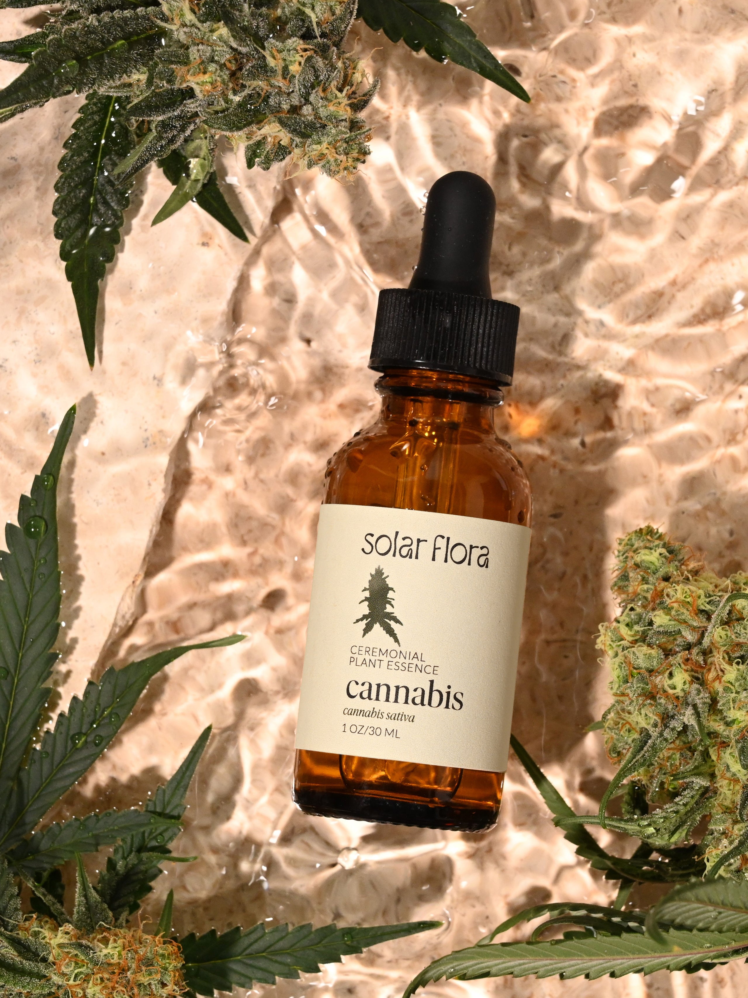Ceremonial Plant Essence: Cannabis - Shamans Market