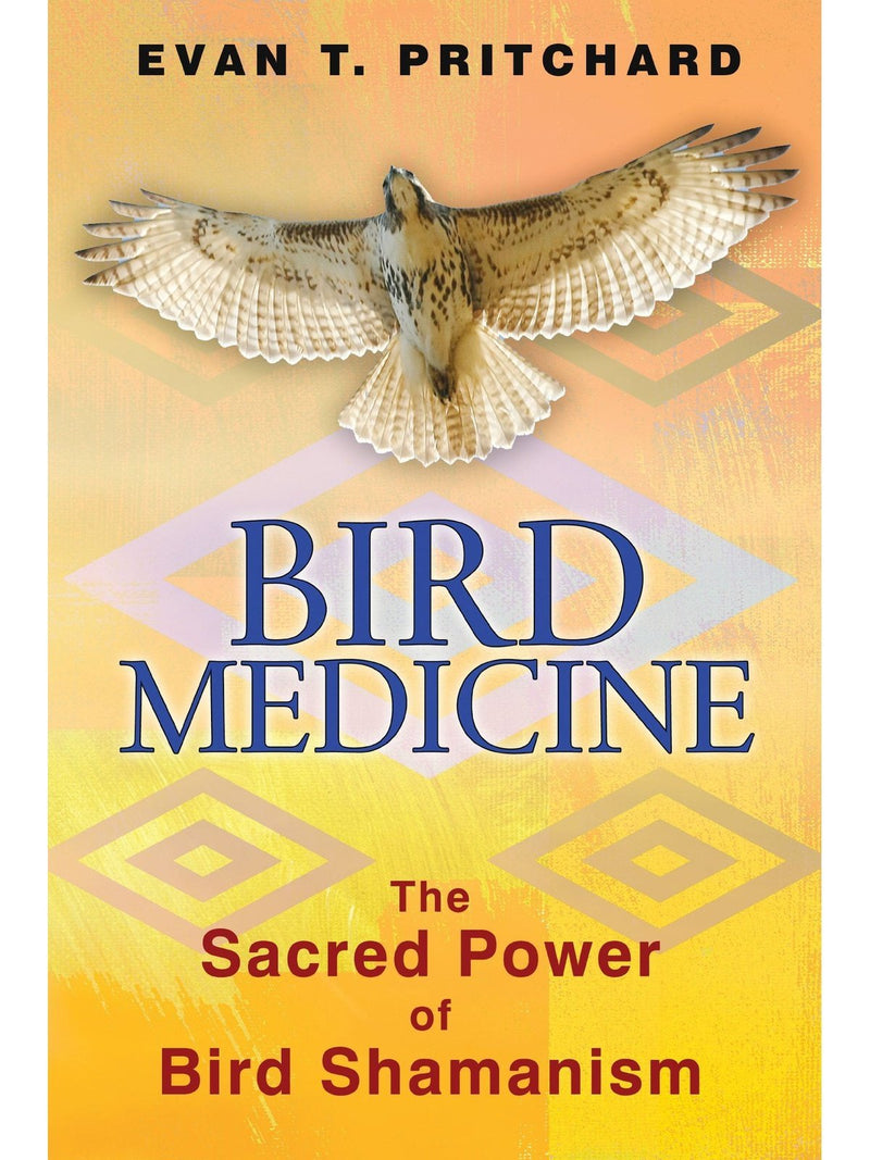 Bird Medicine: The Sacred Power of Bird Shamanism by Evan T. Pritchard