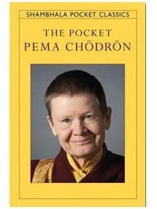 Buddhism Books The Pocket Pema Chodron - Eden Steinberg