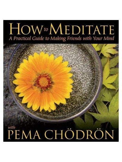 Meditation Books How to Meditate with Pema Chodron