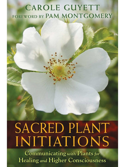 Plant Medicine Books Sacred Plant Initiations: Communicating with Plants for Healing and Higher Consciousness