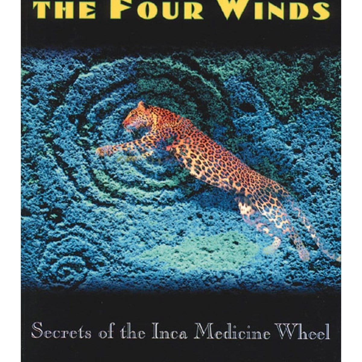 Dance of the Four Winds: Secrets of the Inca Medicine Wheel by Alberto Villoldo - Shamans Market