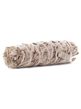 Smudge Sticks White Sage Smudge Stick - 5 in - BULK