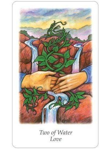 Vision Quest Tarot - Gayan Sylvie Winter and Jo Dos | 1572811978