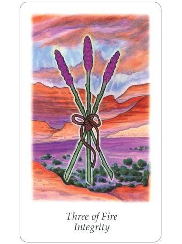 Vision Quest Tarot - Gayan Sylvie Winter and Jo Dos | 1572811978