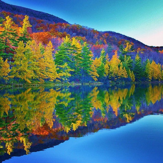 In Perfect Balance - Shamans Market