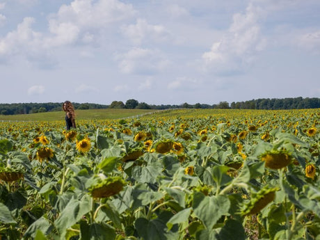 This Detroit Healer Is Inspired To Heal The Collective Community We Call Earth - Shamans Market