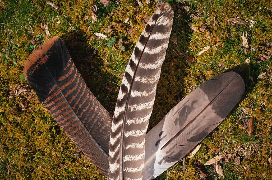 Come Blog With Us! - Shamans Market