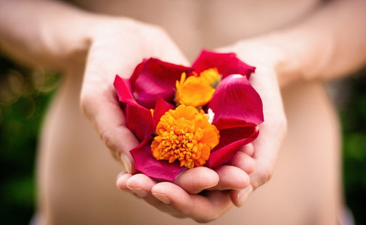 Learning to Receive Well - Shamans Market