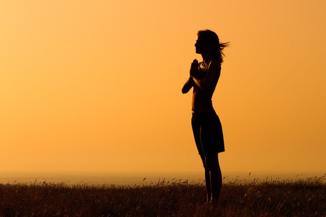 EMBODIED MEDITATION PRACTICE - Shamans Market