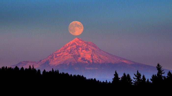 November Supermoon - Shamans Market