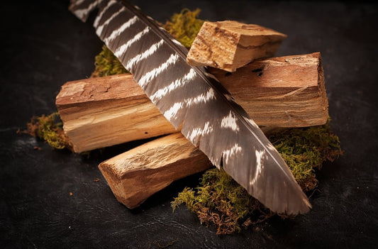 Benefits of Introducing Palo Santo, The Sacred Wood, Into Your Life - Shamans Market