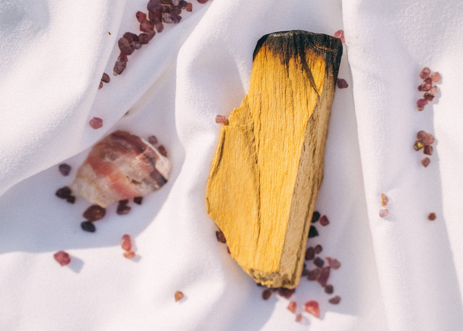 7 Magical Benefits of Palo Santo - Shamans Market