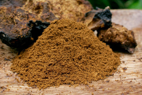REISHI AND CHAGA MUSHROOM POWDERS - Shamans Market