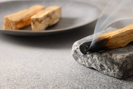 How to Use Palo Santo Sustainably - Shamans Market