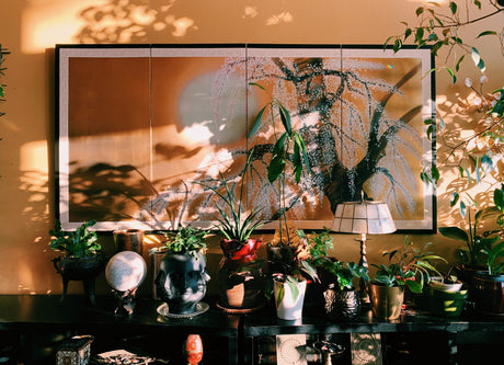 Bring Back the Zen: How to Cleanse Your House From Negative Energy - Shamans Market