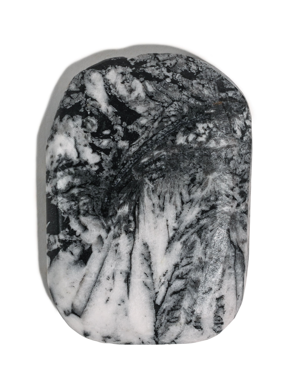 Chrysanthemum Stone 6 | Cg14