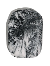 Chrysanthemum Stone 6 | Cg14