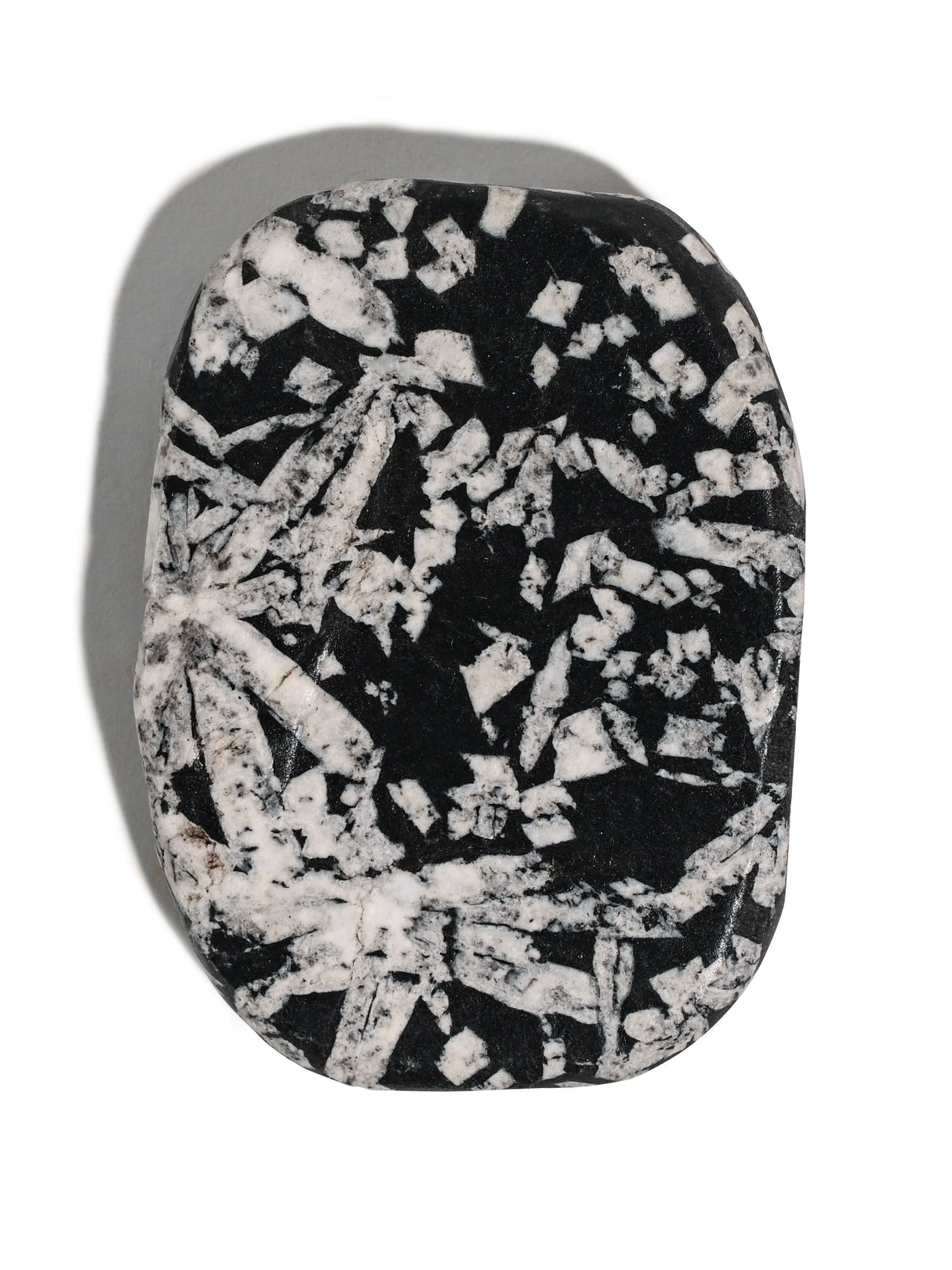 Chrysanthemum Stone 2 | Cg14