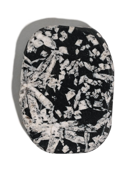 Chrysanthemum Stone 2 | Cg14