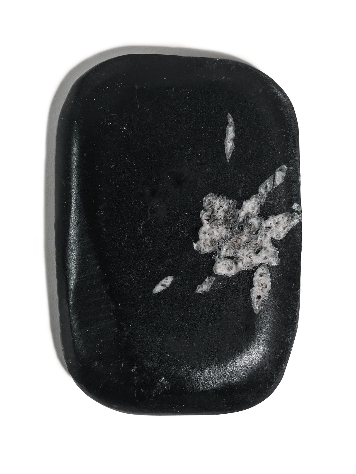 Chrysanthemum Stone 3 | Cg14