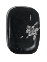 Chrysanthemum Stone 3 | Cg14