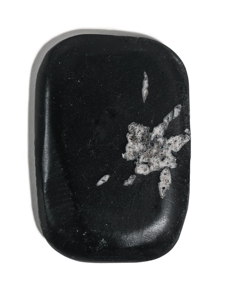 Chrysanthemum Stone 3 | Cg14
