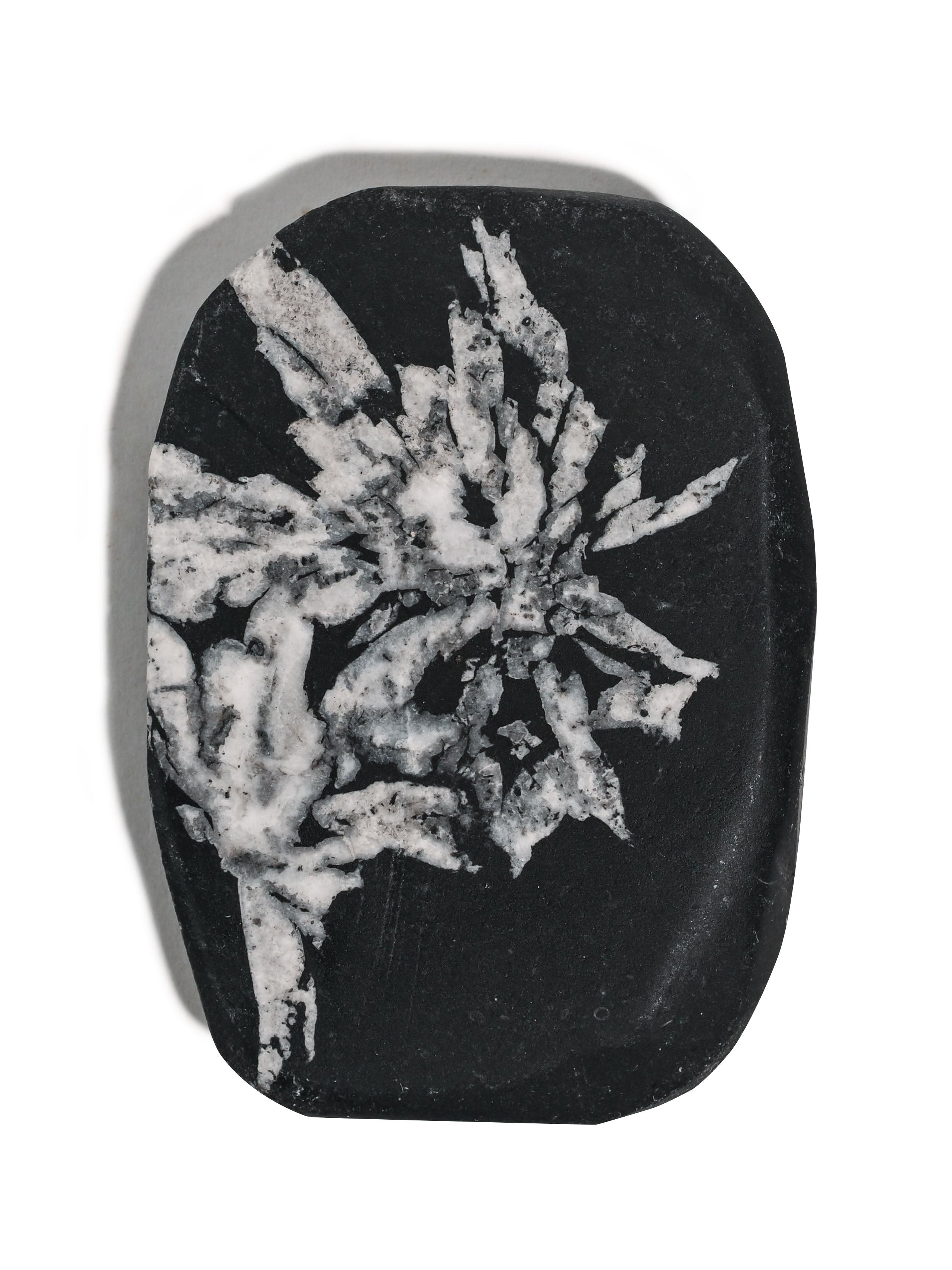 Chrysanthemum Stone – Shamans Market