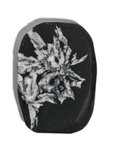Chrysanthemum Stone 4 | Cg14
