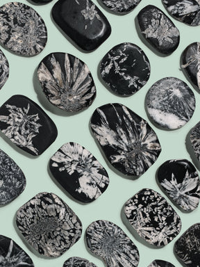 Chrysanthemum Stone | Cg14