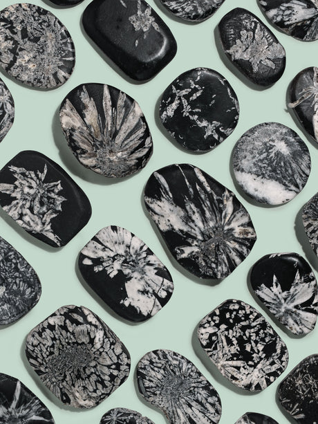 Chrysanthemum Stone | Cg14