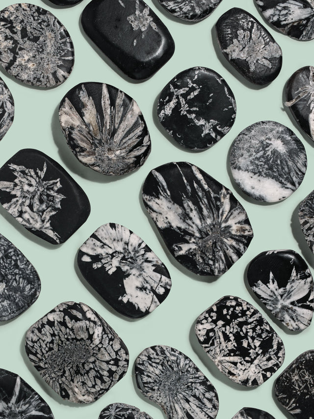 Chrysanthemum Stone | Cg14