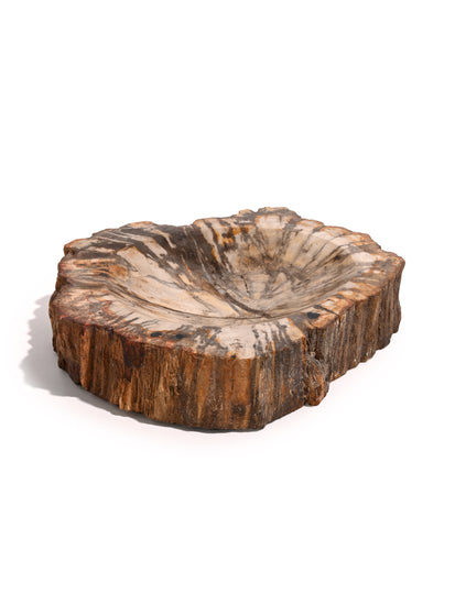 Petrified Wood Bowl B | Cg716