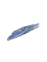 Rough Blue Kyanite | Cg834-Medium