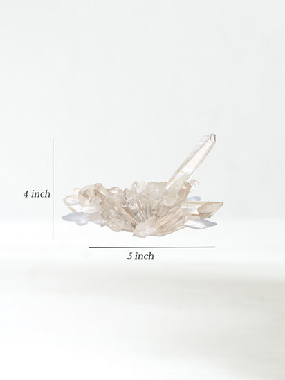 Quartz Crystal Cluster 5 | Cg865