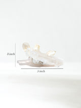 Quartz Crystal Cluster 4 | Cg871