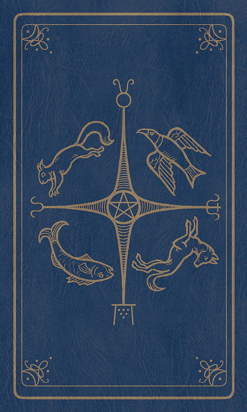Modern Spellcaster's Tarot Deck 4 | dc48