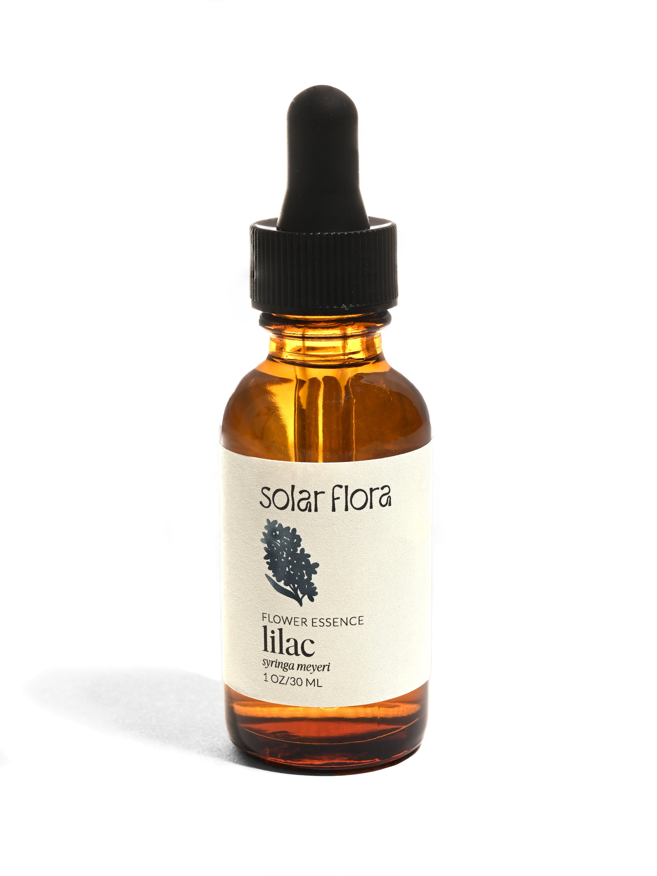 Flower Essence: Lilac - Shamans Market
