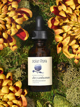 Flower Essence: Chrysanthemum