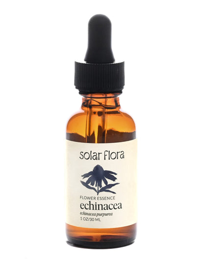 Flower Essence: Echinacea | sf20 | Shamans Market