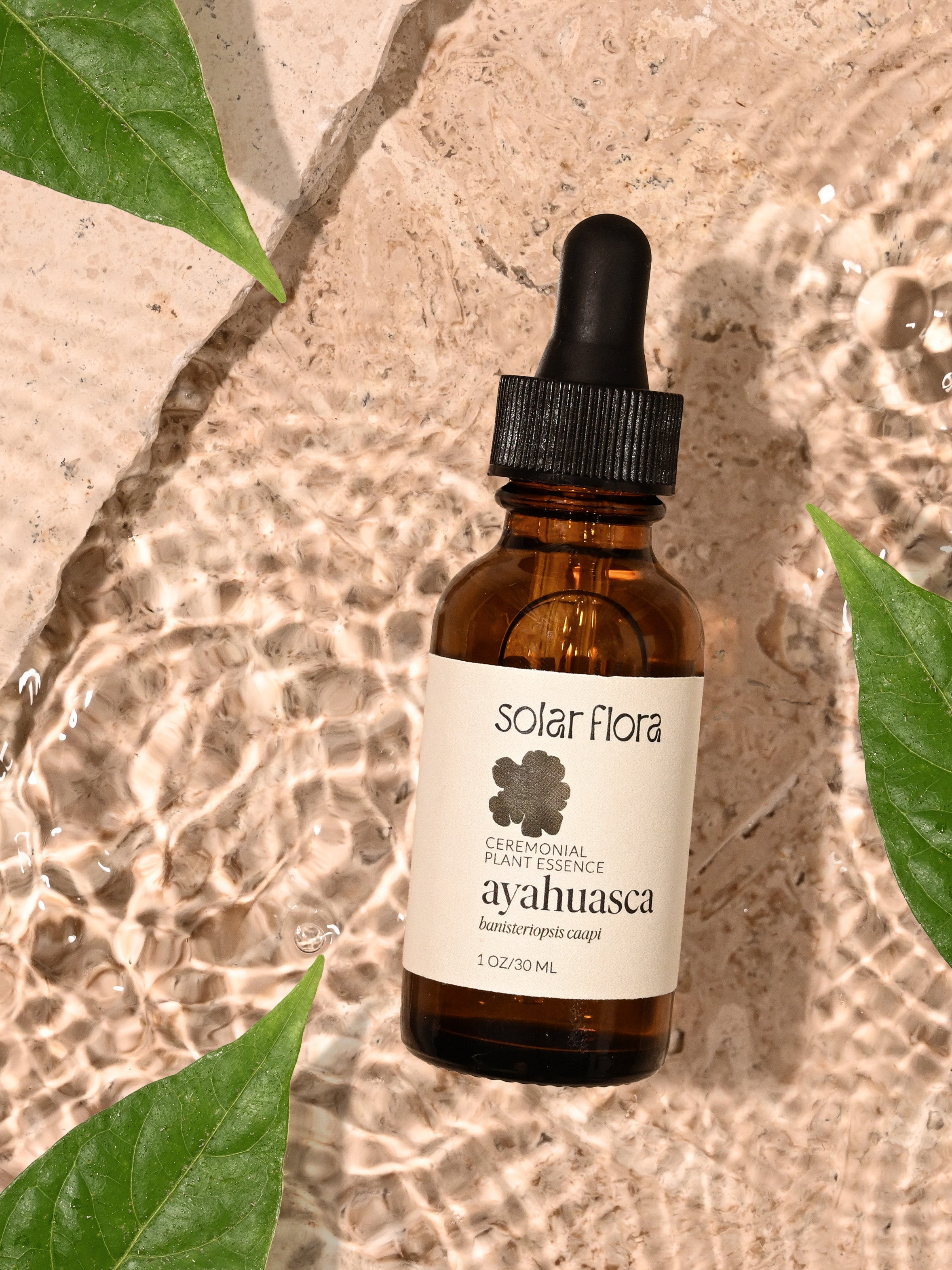 Ceremonial Plant Essence: Ayahuasca | sf3 | Shamans Market