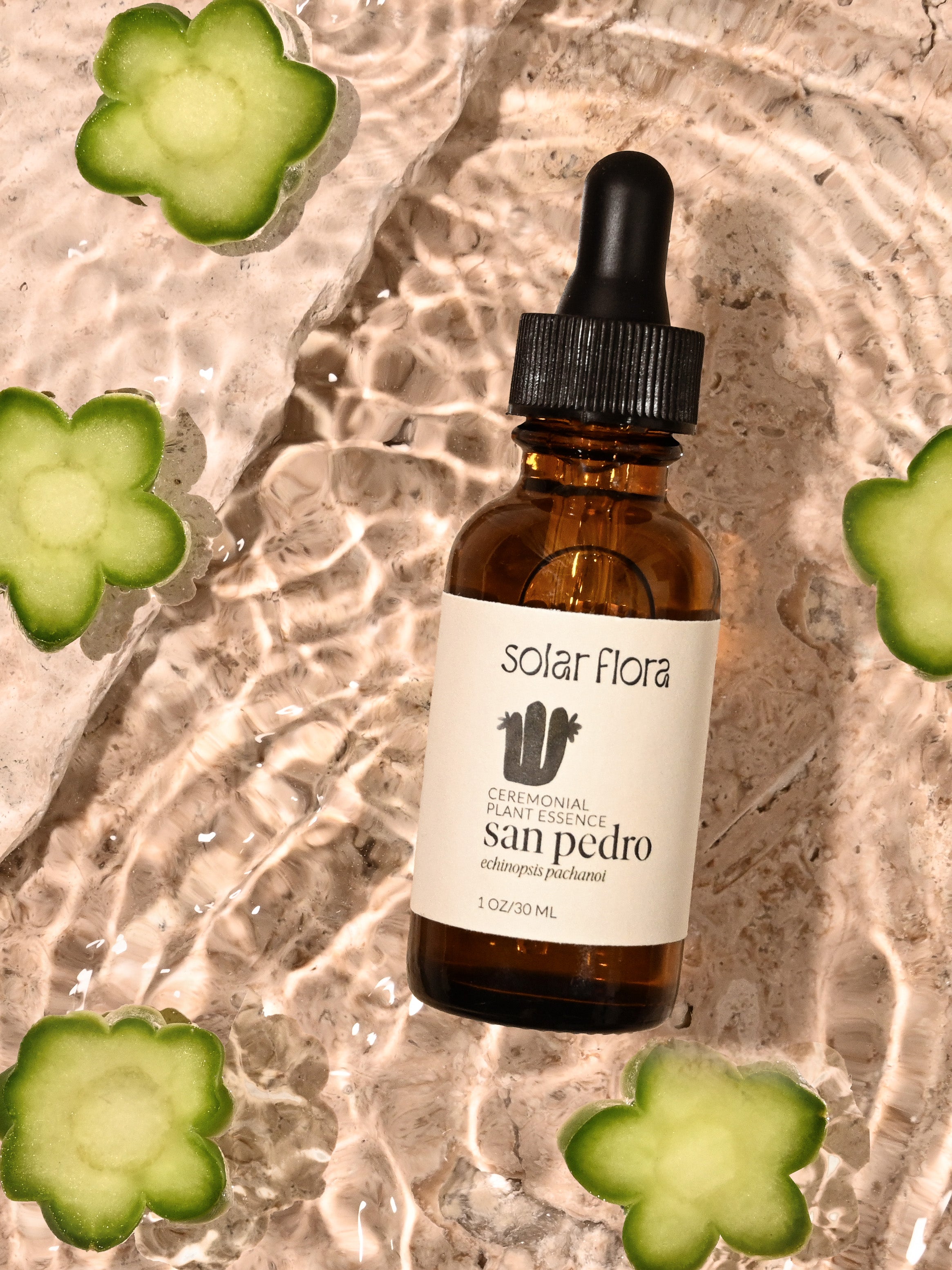 san pedro cactus tincture Solar Flora San Pedro Essence Ceremonial Plant