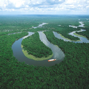 Ucayali Peruvian Amazon - Shaman