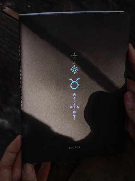 Magic of I Zodiac Notebook | bj0101