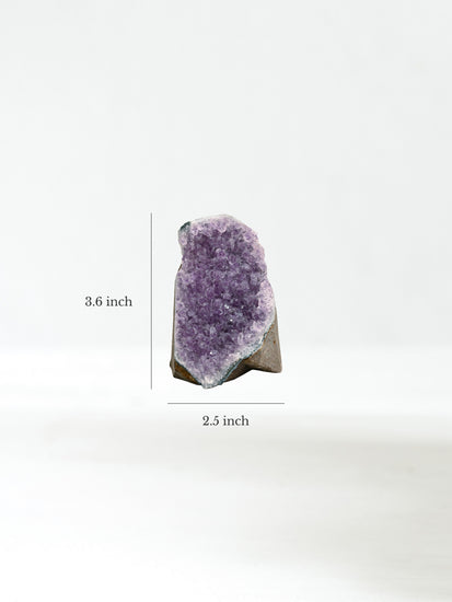 Amethyst Cluster H Dimension | Cg885