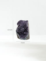 Amethyst Cluster I Dimension | Cg886