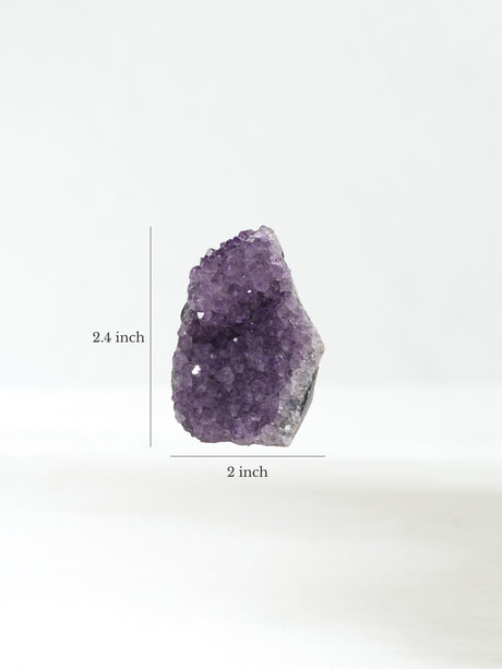 Amethyst Cluster H Dimension | Cg885
